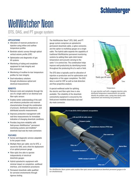wellwatcher neon|(PDF) WellWatcher Neon DTS, DAS, and PT Gauge System .